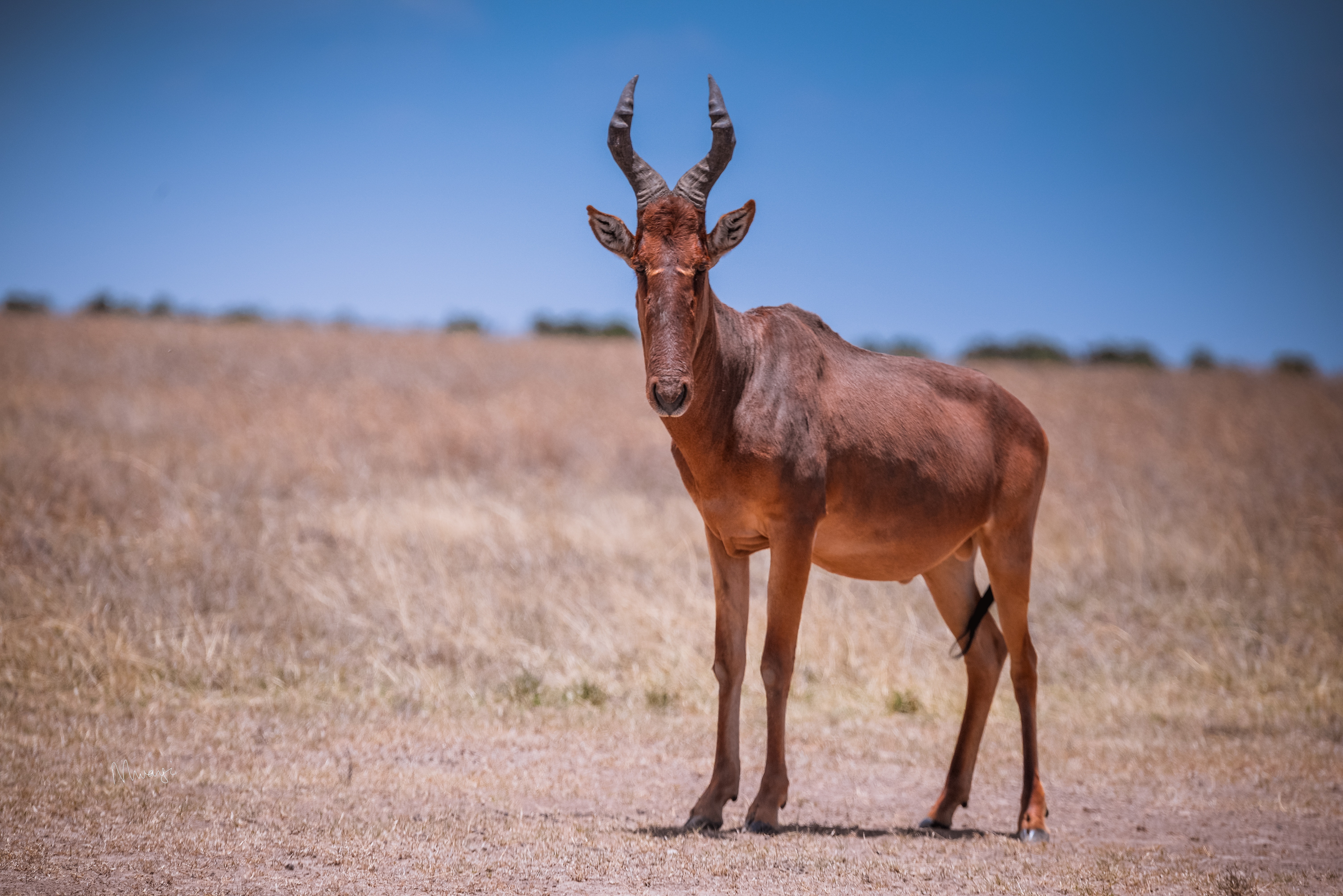 Can I combine safari and beach holidays?